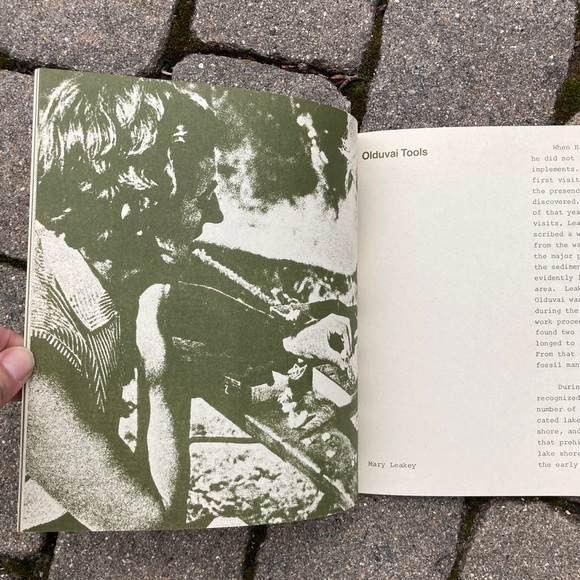 1972 Nutcracker Man Education Developments Hominid Fossil Caveman Apes Sciences - Picture 6 of 10